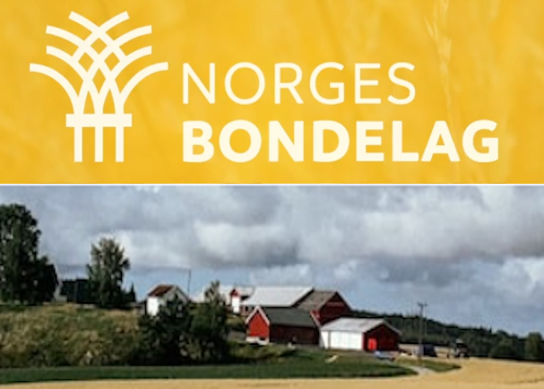 Bondelaget – Skatt ved tomtesalg