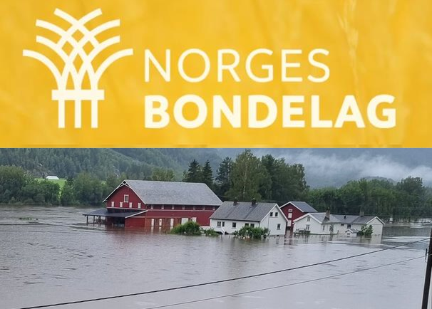 Skattemessig håndtering av erstatninger
