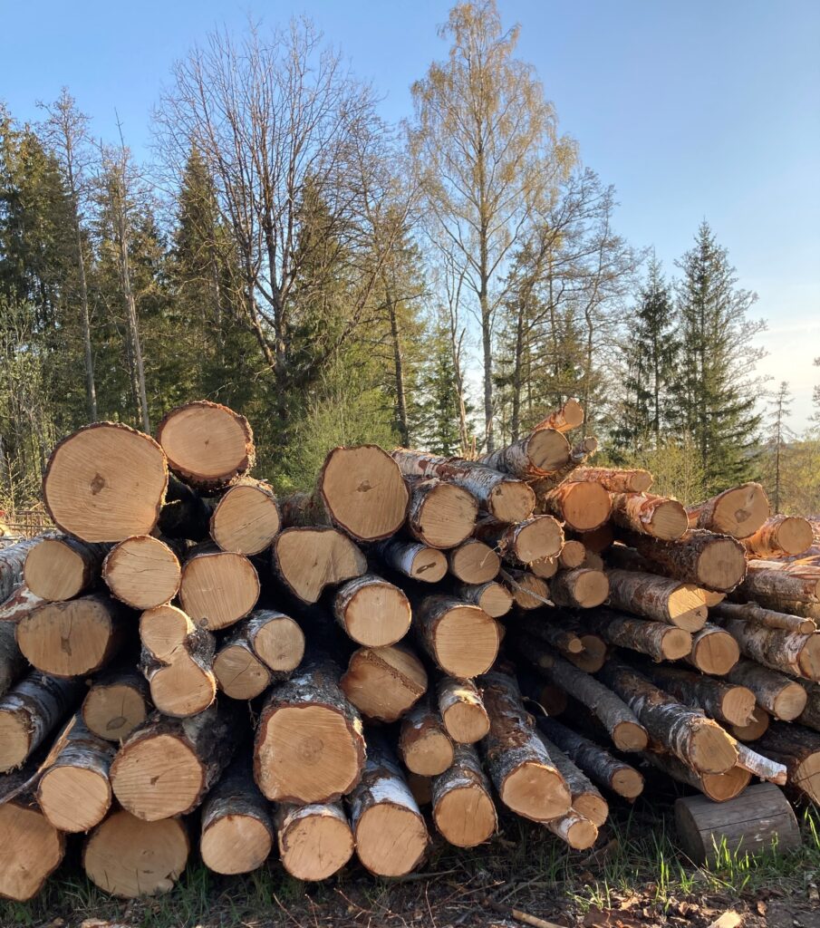 Innføring i skog og skatt